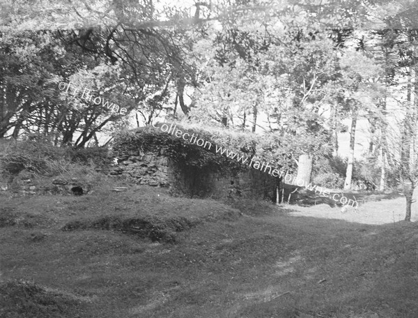 DUNBOY CASTLE SHOWING WALL & 